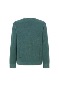 Pleteni pulover v temno zeleni barvi, z teksturiranim dizajnom, krojenim ovratnikom in rebrastimi manšetami. Na hrbtni strani prikazuje brezšivno, čisto dodelavo.