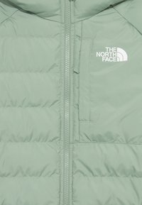 The North Face REVERSIBLE PERRITO HOODED JACKET UNISEX - Veste d'hiver - slate moss