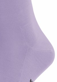 FALKE TIAGO - Socken - lupine