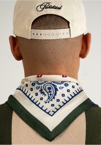 PROHIBITED SOHO  - Écharpe - vintage green multicolor