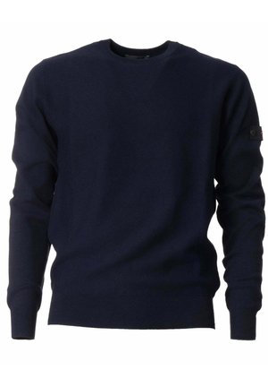 Maglione blu navy in materiale lavorato a maglia, con maniche lunghe e scollatura rotonda. Presenta un piccolo logo sulla manica sinistra.