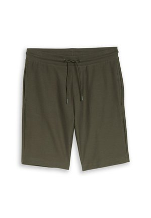 TOM TAILOR, STRUCTURED SHORTS - Pantalones deportivos - deep leaf green
