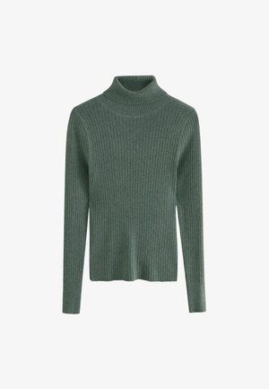 Rippstrick-Turtleneck-Pullover in einem sanften Grünton, mit langen Ärmeln und tailliertem Schnitt. Weicher Stoff, leichtes Material.