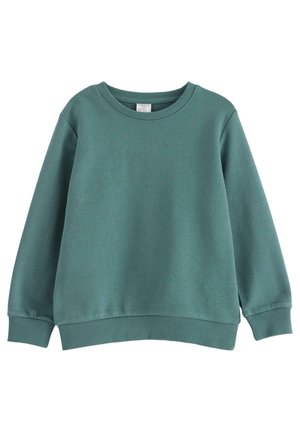Plain teal crewneck sweatshirt with long sleeves and ribbed cuffs and hem, displayed on a white background.