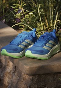 Baskets de sport bleues avec trois bandes vert clair et semelles vertes reposant sur un rebord en pierre avec des plantes vertes en arrière-plan.