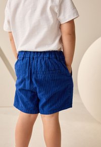 Pantalones cortos a rayas azules con cintura elástica y dos bolsillos traseros, combinados con una camisa blanca de manga corta. Textura de tela suave.