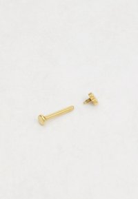 Goldene Metallschraube mit einem runden Kopf neben einem schlanken, geraden goldenen Nagel. Beide Teile sind glänzend und haben eine glatte Textur.