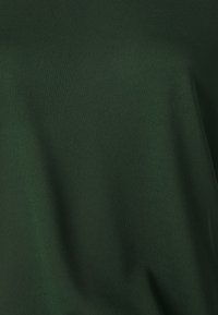 DRYKORN NISLE - Jednoduché tričko - green
