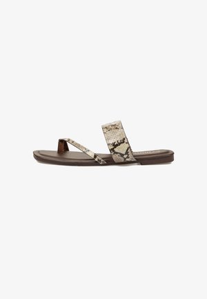 Kamome, ROMELLI - Sandalias de dedo - marrón
