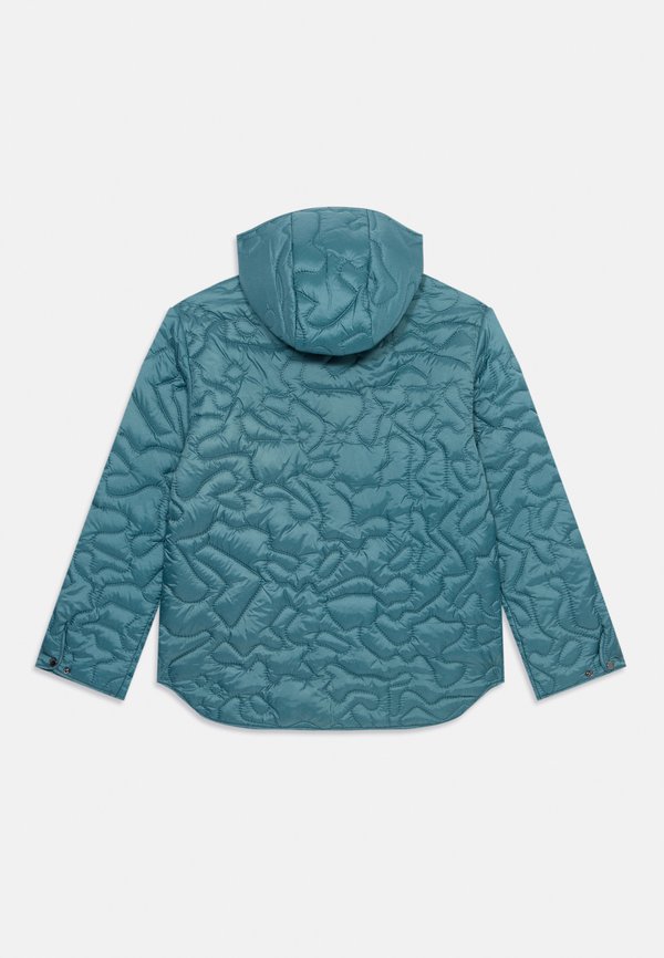 BLOUSON JACKET UNISEX - Winter jacket - silver pine2