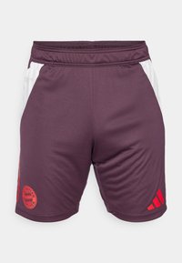 FC BAYERN TIRO 24 - Equipación de clubes - shadow maroon/red