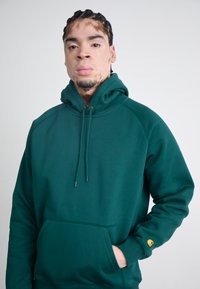 Green hoodie made of soft fabric with a kangaroo pocket, adjustable drawstring hood, and a small yellow logo on the left sleeve.