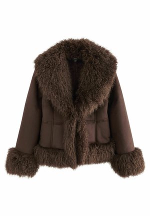 REGULAR FIT - Zimní bunda - chocolate brown
