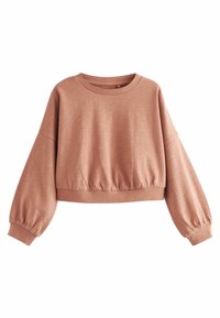 Next BOXY CUFFED STANDARD - Sweatshirt - brown