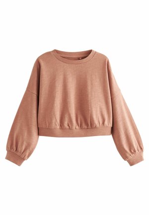 BOXY CUFFED STANDARD - Sweatshirt - brown