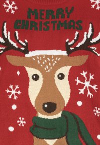 Sublevel WEIHNACHTS - Strickpullover - red