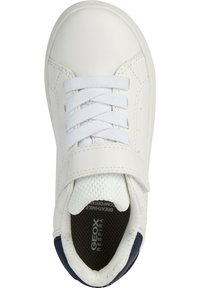 Geox J ECLYPER B. A SYNT.LEA - Zapatillas - j36lsa000bcc0899