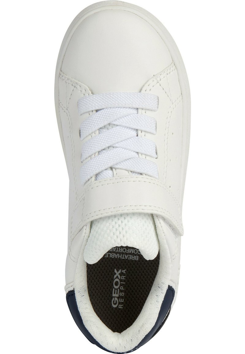 Geox Niño Zapatillas Geox Eclyper Para Niños Estilo Urbano Y