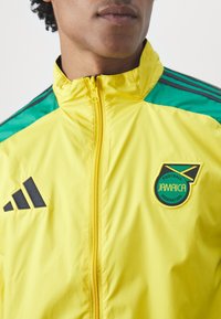adidas Performance Equipación de selecciones - black