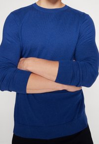 Maglione azzurro a collo rotondo, lavorato a maglia, con polsini e orlo a costine, design aderente e superficie liscia. Adatto per essere indossato a strati o da solo.