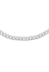 Collana in metallo argento con catena composta da anelli ovali intrecciati con una superficie liscia e luminosa. Design semplice, uniforme nella forma e nel colore.