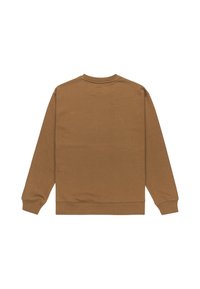 Sudadera de algodón marrón con mangas largas, cuello redondo y puños acanalados. Textura suave con un diseño simple de color sólido.