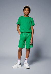 Tommy Hilfiger FLAG - Shorts - radiant green