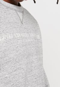Replay Sweatshirt - grey