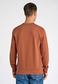 Felpa color ruggine con maniche lunghe, scollatura tonda, polsini e orlo ribattuti, caratterizzata da una texture liscia e un design minimale.