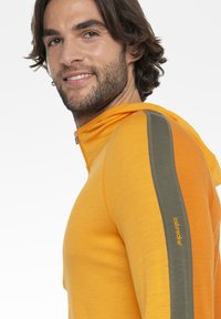 icebreaker MERINO 200 MID WEIGHT SONEBULA HALF ZIP HOOD - Maglietta a manica lunga - DARK ORANGE
