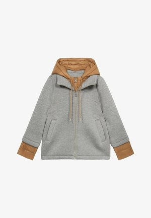 Veste grise avec une capuche matelassée beige, fermeture éclair sur le devant, poches latérales et poignets élastiques. Comprend un mélange de matériaux texturés.