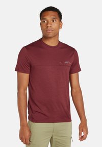 icebreaker Camiseta estampada - port