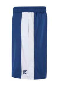 Blå sportsshorts med en hvid side-strimmel, elastisk talje, lavet af letvægtsmateriale, med et lille logo ved kanten.