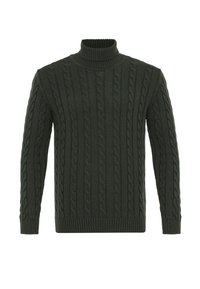 Maglione turtleneck in maglia a treccia verde scuro, con polsini e orlo a coste; il motivo testurizzato presenta dettagli a treccia sporgenti e torcigliante.