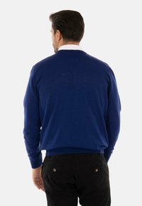 Maglione blu navy con polsini e orlo a costine, realizzato in tessuto morbido, presenta un classico design a V. Indossato con pantaloni scuri, vista posteriore mostrata.