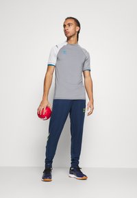 Szary sportowy T-shirt z krótkimi rękawami, niebieskie akcenty. Granatowe spodnie dresowe z zielonym logo. Osoba trzyma czerwoną piłkę sportową.