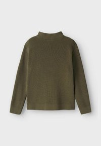 Olivgrüner Strickpullover mit hohem Kragen, geripptem Muster, langen Ärmeln und geradem Saum. Einfaches Design, keine sichtbaren Muster oder Akzente.