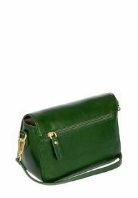 Sac bandoulière en cuir vert avec une texture lisse, des accessoires dorés et une poche zippée à l'arrière. Forme compacte et rectangulaire.