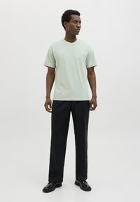 Lichtgroen T-shirt met korte mouwen en ronde hals, gecombineerd met zwarte rechte broek en zwarte schoenen, staand tegen een neutrale achtergrond.