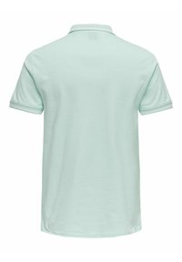 Mintgrünes Polohemd mit kurzen Ärmeln, einem gerippten Kragen und kontrastierenden Abschlüssen. Klassische Passform aus einem glatten, strukturierten Stoff.