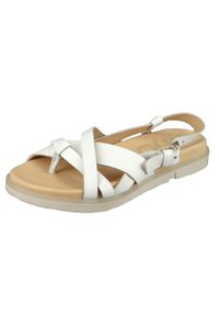 White leather sandal with crisscross straps, round toe, beige insole, and adjustable buckle. Rubber sole with textured surface.
