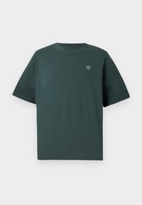 DUNSTAN RIVER SHORT SLEEVE OVERSIZED TEE  - T-Shirt basic - green gables