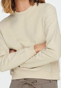 Felpa beige con scollo rotondo e maniche lunghe, con polsini e bordo a costine, realizzata in tessuto morbido, caratterizzata da una vestibilità comoda e una superficie liscia.