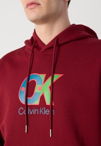 Felpa con cappuccio color bordeaux, dotata di lacci, con un logo "CK" multicolore e la scritta "Calvin Klein" in blu sotto il logo.