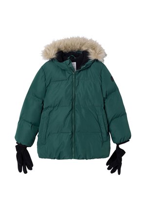 WARME MIT UND -WATTIERUNG - Winter jacket - tannengrün