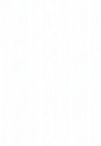 Toile blanche unie avec une texture verticale subtile. Surface lisse, sans motifs ni détails visibles, couleur uniforme sur toute la surface.