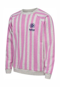 Grå luvtröja med vertikala rosa ränder. Har ribbade ärmslut och nederkant, rund halsringning och tryckt logotyp på bröstet.