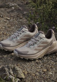Para beżowych i brązowych butów do biegania po szlakach Adidas Terrex spoczywających na kamienistej ziemi z roślinami w tle.