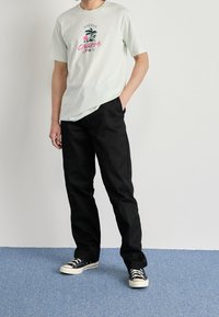 Mentolově zelené bavlněné tričko s potiskem, spárované s černými kalhotami rovného střihu. Obuv: černé plátěné tenisky s bílou podrážkou.