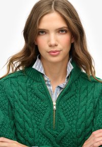 Jersey de lana verde tejido con un alto cuello y una cremallera dorada, superpuesto a una camisa de rayas azul y blanca. Patrón de cable texturizado en toda la prenda.